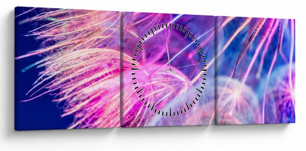 Obraz - Makro (z zegarem) (90x30 cm)