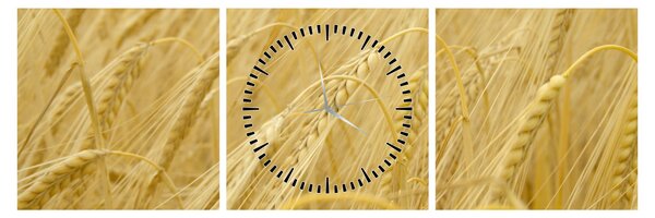 Obraz - Jęczmień (z zegarem) (90x30 cm)