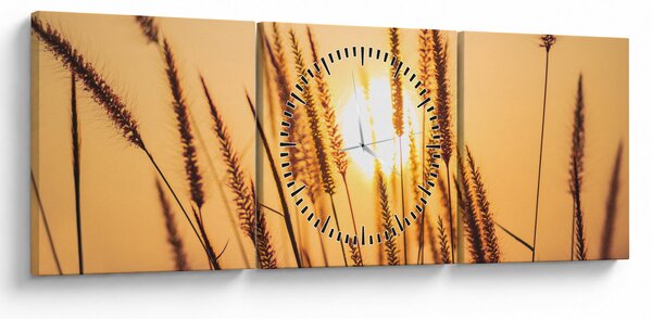 Obraz - Trawa w słońcu (z zegarem) (90x30 cm)