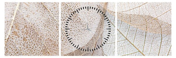 Obraz - Beżowe liście (z zegarem) (90x30 cm)