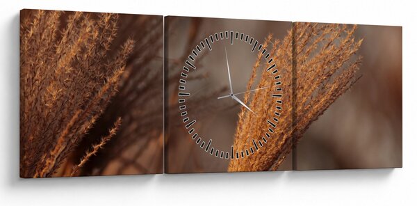 Obraz - Kortaderia (z zegarem) (90x30 cm)