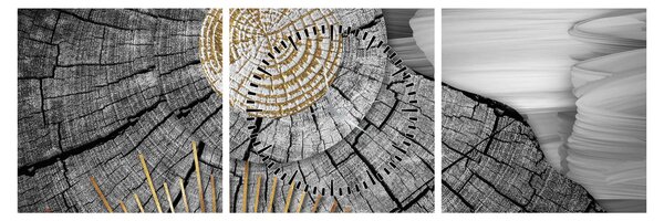 Obraz - Pień drzewa w kolażu (z zegarem) (90x30 cm)