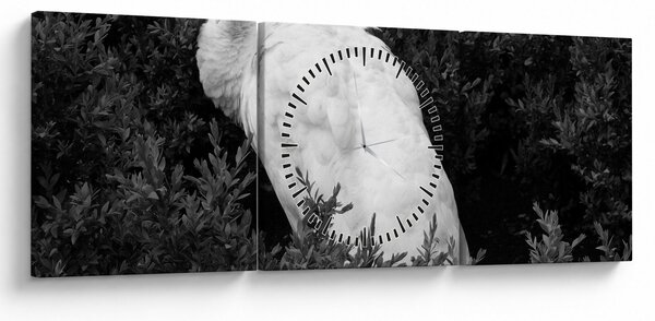 Obraz - Paw, czarno - biały (z zegarem) (90x30 cm)