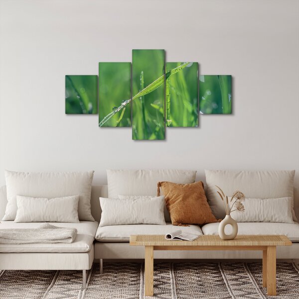 Obraz kropli rosy (125x70 cm)