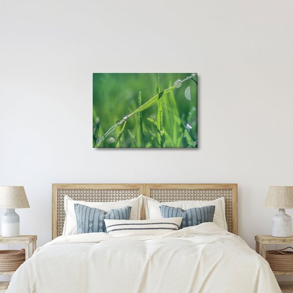 Obraz kropli rosy (70x50 cm)