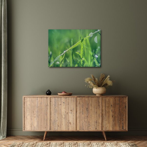 Obraz kropli rosy (70x50 cm)