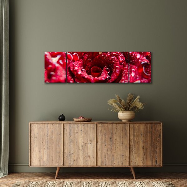 Obraz czerwonego kwiatu róży (170x50 cm)