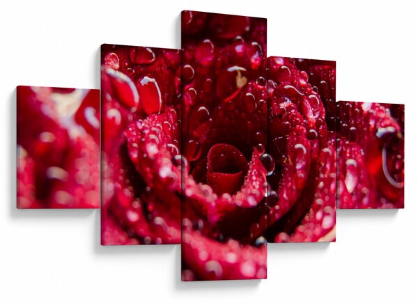 Obraz czerwonego kwiatu róży (125x70 cm)