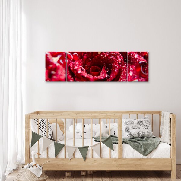 Obraz czerwonego kwiatu róży (170x50 cm)