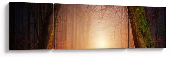 Obraz jesiennego lasu we mgle (170x50 cm)