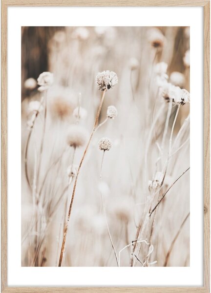 Obraz 50x70 cm Beige I – Styler
