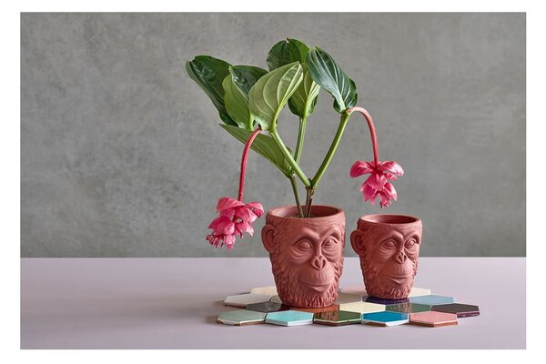 Betonowa doniczka ø 19 cm Calbe – Villa Collection