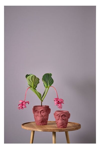 Betonowa doniczka ø 19 cm Calbe – Villa Collection