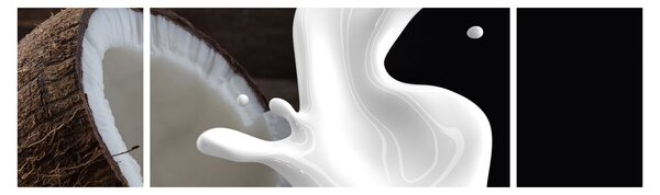 Obraz - mleko kokosowe (170x50 cm)