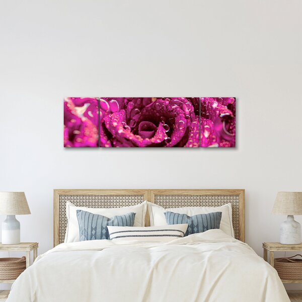 Obraz różowego kwiatu róży (170x50 cm)
