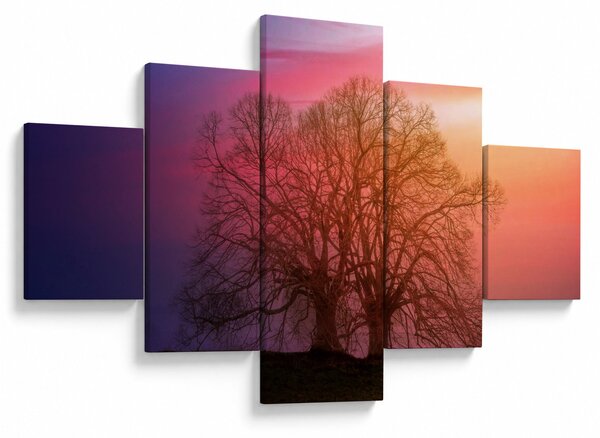 Obraz drzew we mgle (125x70 cm)