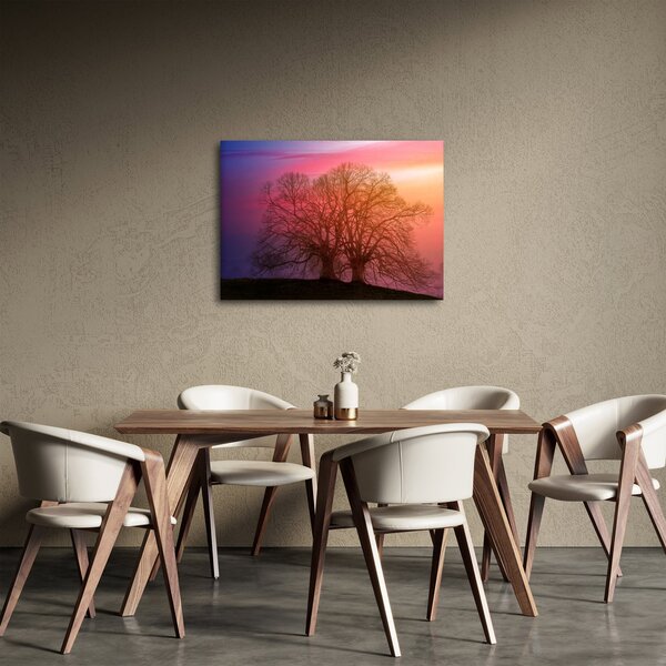 Obraz drzew we mgle (70x50 cm)