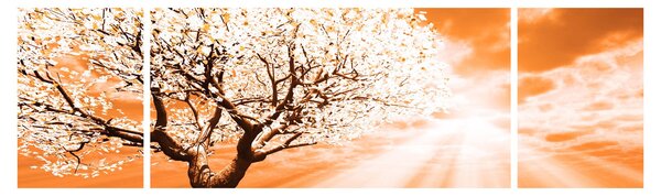 Pomarańczowy obraz drzewa (170x50 cm)