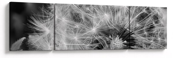 Obraz - nasiona dmuchawca (170x50 cm)