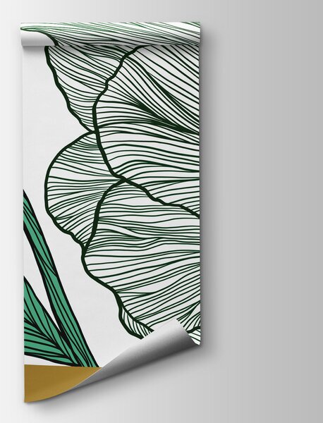 Fototapeta Delikatne linie w żywych kolorach, Fototapety Abstrakcja, Popularne Fototapety, t01038v3 - Tapeko.pl