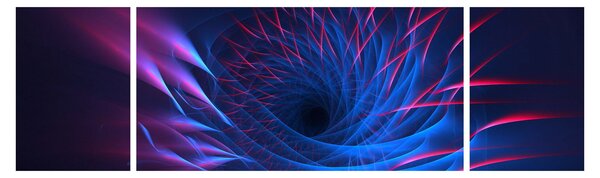 Obraz - abstrakcja kwiatu (170x50 cm)