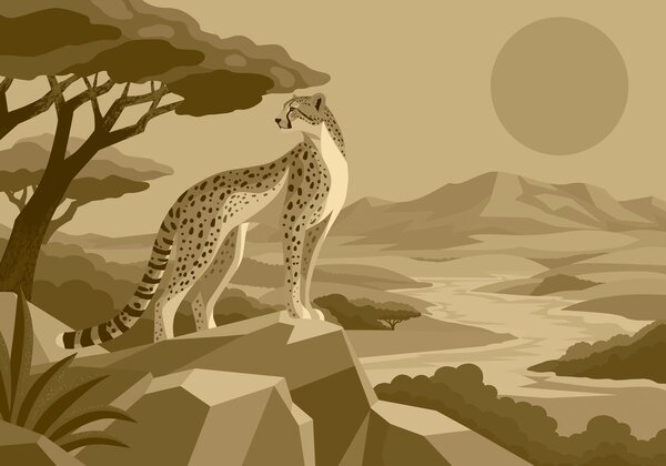 Fototapeta Gepard stojący na skale, Fototapety z zwierzętami, Popularne Fototapety, t01040v2 - Tapeko.pl