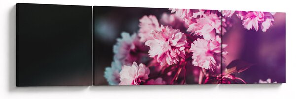 Obraz kwiatów drzewa (170x50 cm)