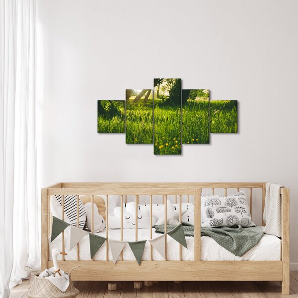 Obraz natury - łąka (125x70 cm)