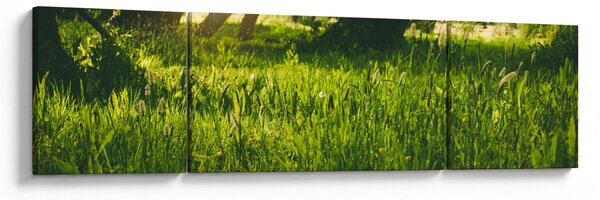 Obraz natury - łąka (170x50 cm)