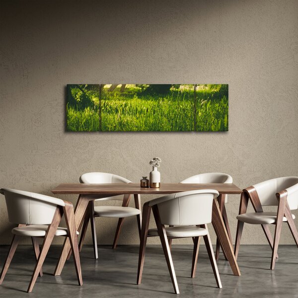 Obraz natury - łąka (170x50 cm)