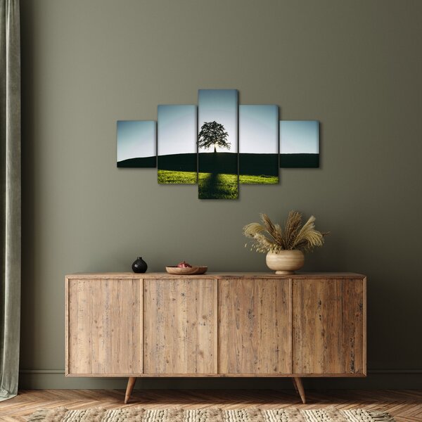 Obraz natury - drzewo (125x70 cm)