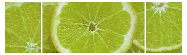 Obraz - pokrojone cytryny (170x50 cm)