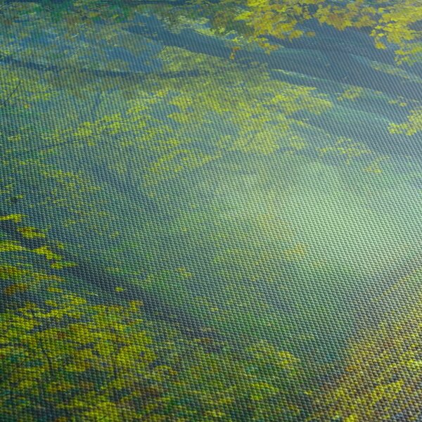 Obraz drogi wysadzanej drzewami (170x50 cm)