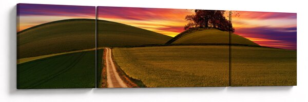 Obraz pola z zachodem słońca (170x50 cm)
