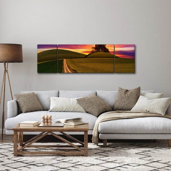 Obraz pola z zachodem słońca (170x50 cm)
