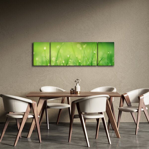 Obraz - rosa na trawie (170x50 cm)