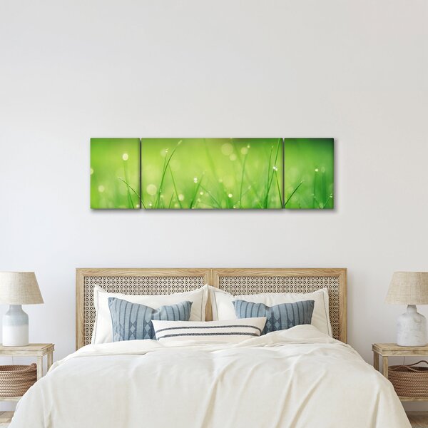 Obraz - rosa na trawie (170x50 cm)