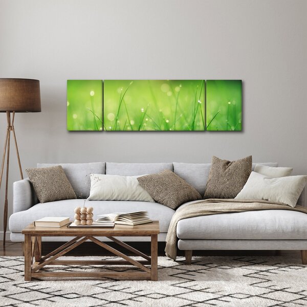 Obraz - rosa na trawie (170x50 cm)