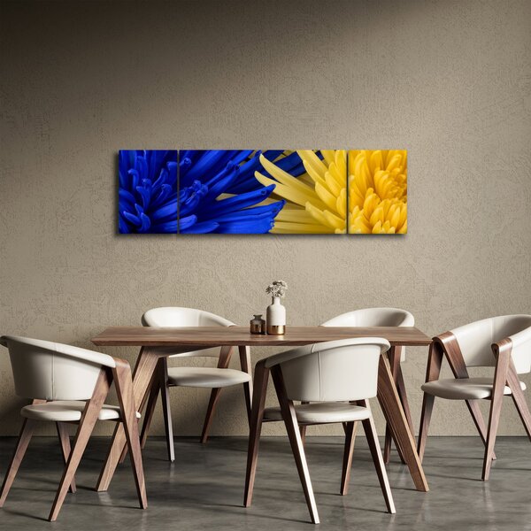 Obraz - szczegóły kwiatów (170x50 cm)