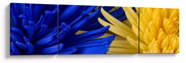 Obraz - szczegóły kwiatów (170x50 cm)