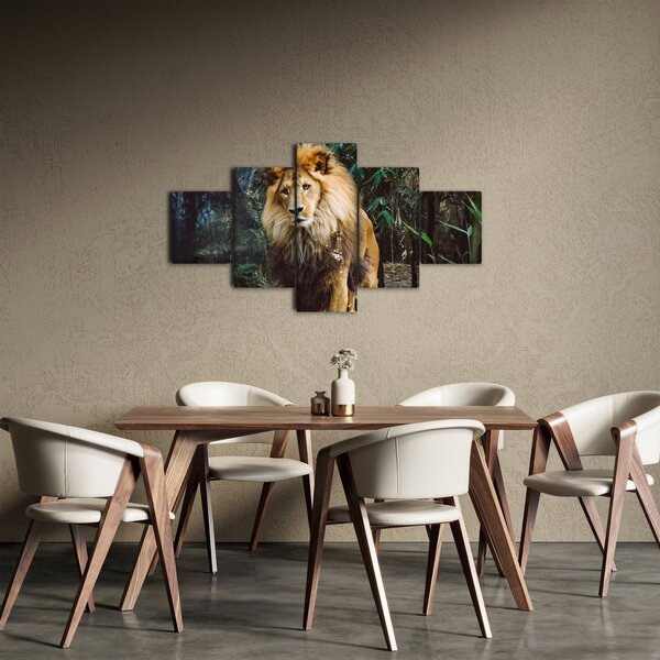 Obraz lwa w naturze (125x70 cm)