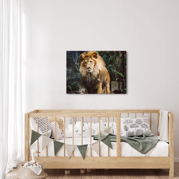 Obraz lwa w naturze (70x50 cm)