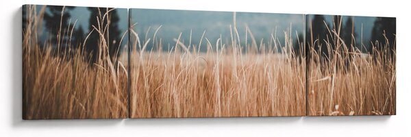 Obraz - szczegół łąki (170x50 cm)