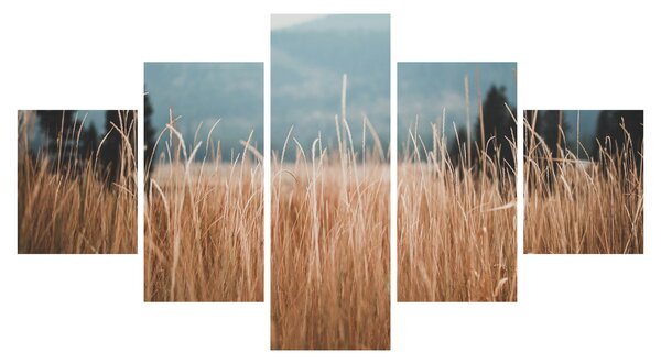 Obraz - szczegół łąki (125x70 cm)