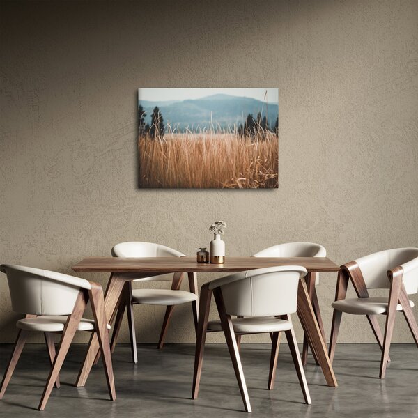 Obraz - szczegół łąki (70x50 cm)