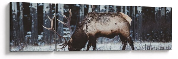 Obraz - jeleń zimą (170x50 cm)