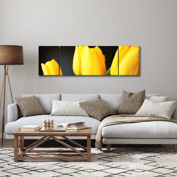 Obraz tulipanów (170x50 cm)