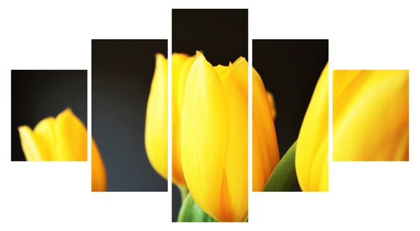 Obraz tulipanów (125x70 cm)