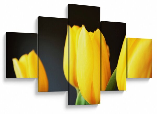 Obraz tulipanów (125x70 cm)