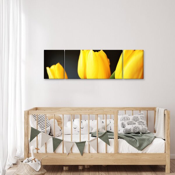 Obraz tulipanów (170x50 cm)